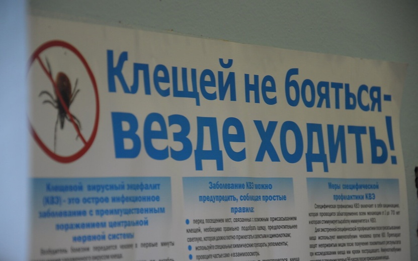 Более 80 тысяч жителей Удмуртии сделали прививку от клещевого энцефалита с начала года
