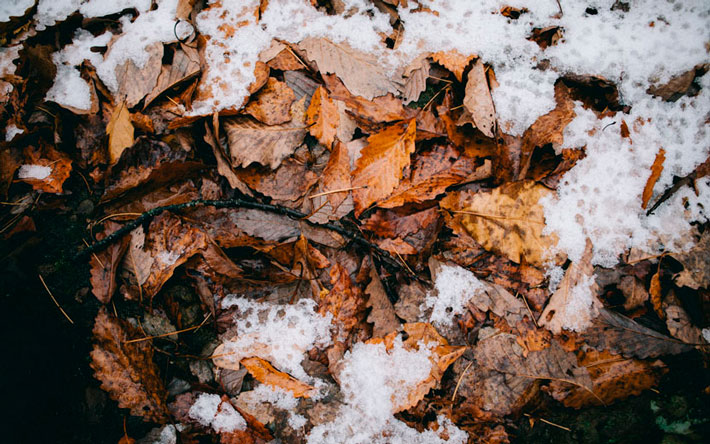 Погода в Ижевске 18 ноября: небольшой снег и –7 °С