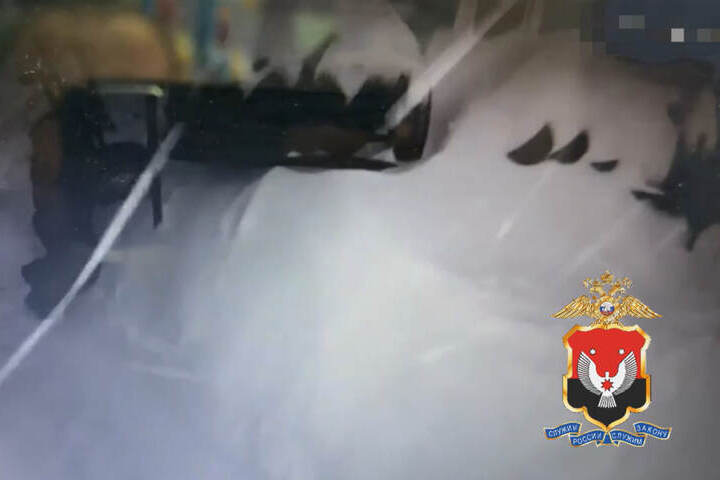 Подозреваемых в краже автомобильных колес из шиномонтажа задержали в Ижевске