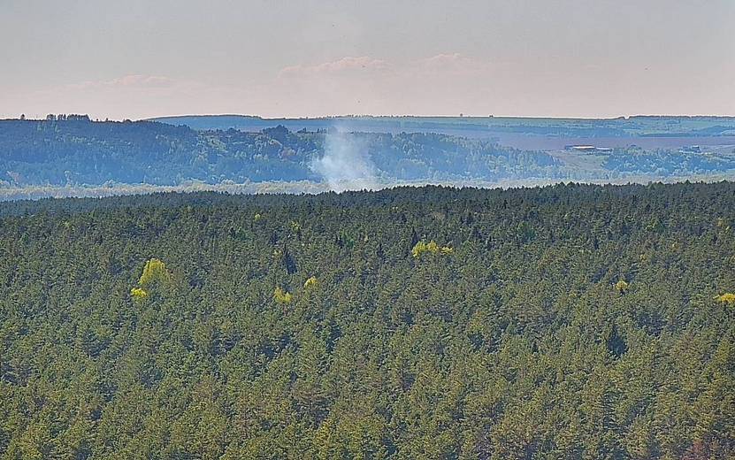 Лесной пожар потушили в Камбарском районе Удмуртии