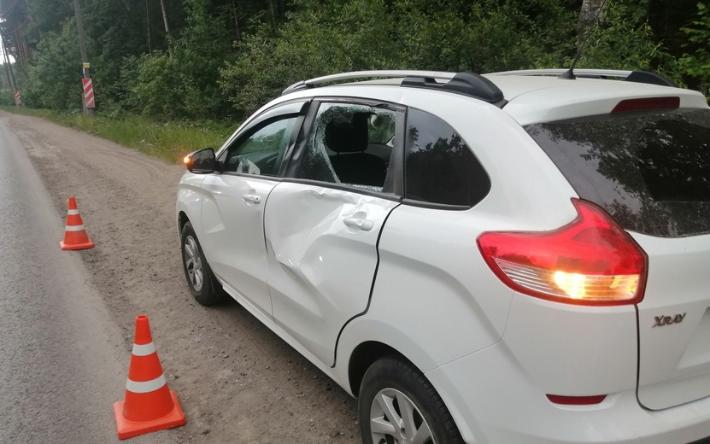 Девочка пострадала в ДТП с лосем на окраине Ижевска