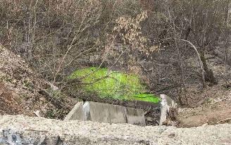 Ручей в Ижевске окрасился в зеленый цвет