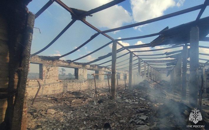 11 телят погибли при пожаре на ферме в Удмуртии