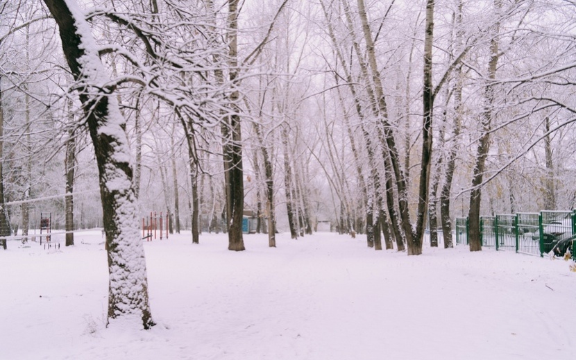 Первый снег в Ижевске. Фото: Маша Бакланова