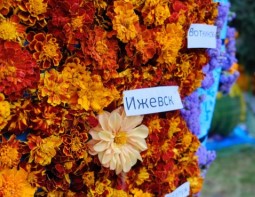 12 ярких фото с Праздника цветов в Ижевске