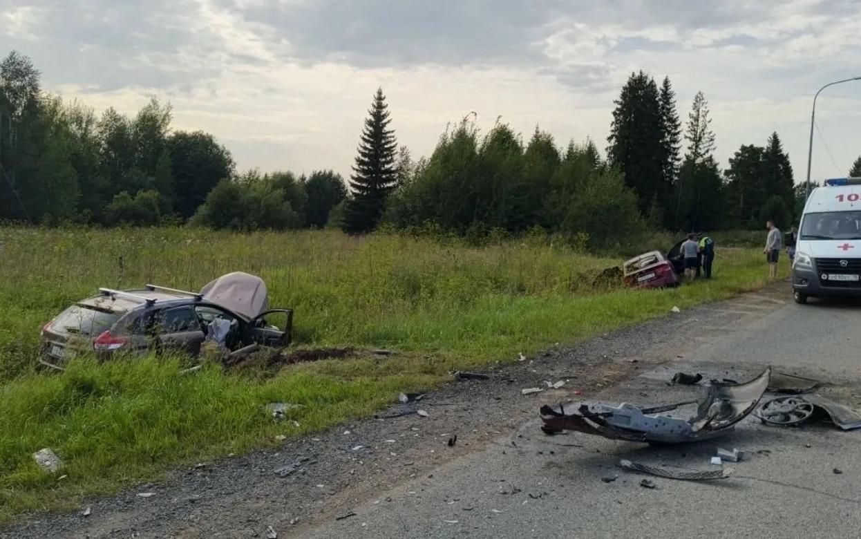 Трое взрослых и два ребенка пострадали на трассе в Удмуртии