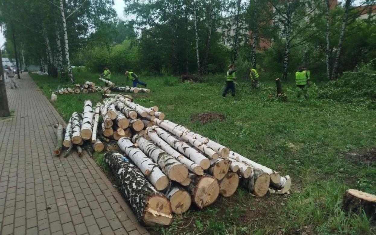 Деревья вырубили на месте будущего модульного отделения ГКБ № 6 в Ижевске
