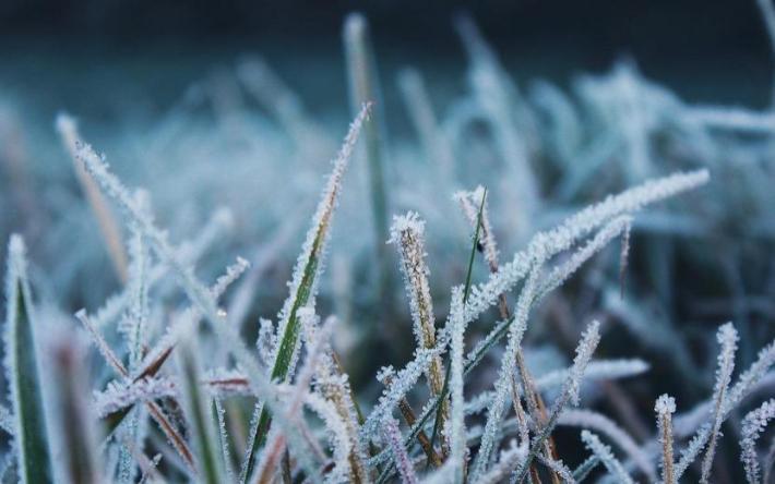 Жителей Удмуртии предупредили о заморозках до -3°С