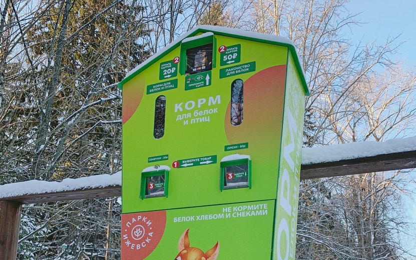 Автоматы с кормом для птиц и белок появились в парках Ижевска