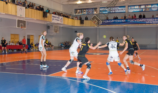 handball.udsu.ru