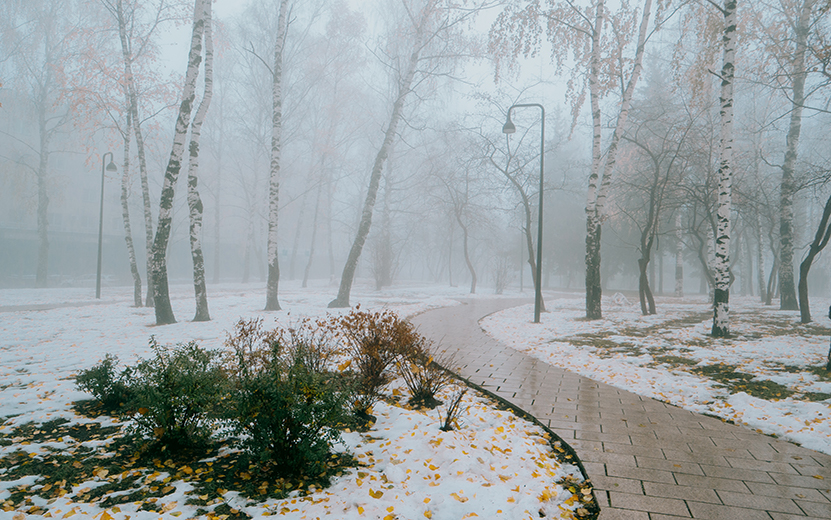 Погода в Ижевске на день: 23 декабря ожидаются туман и до +1