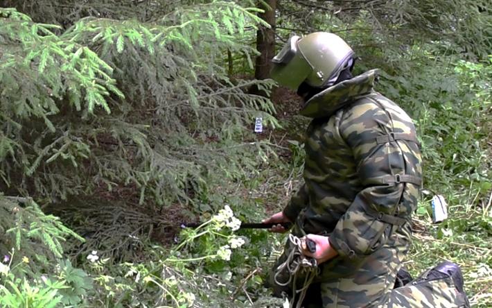 Артиллерийский снаряд нашли на огороде в Ижевске