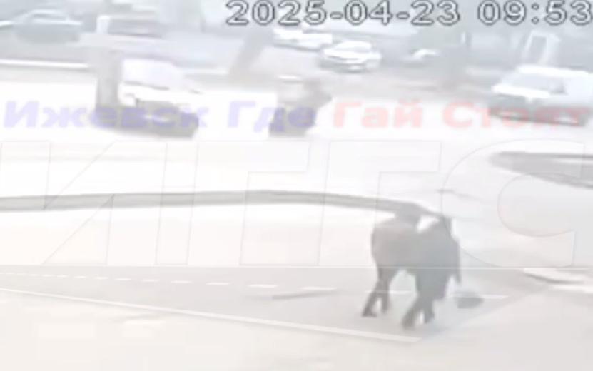 Нетрезвый мотоциклист и его пассажирка пострадали в ДТП на ул. Азина в Ижевске