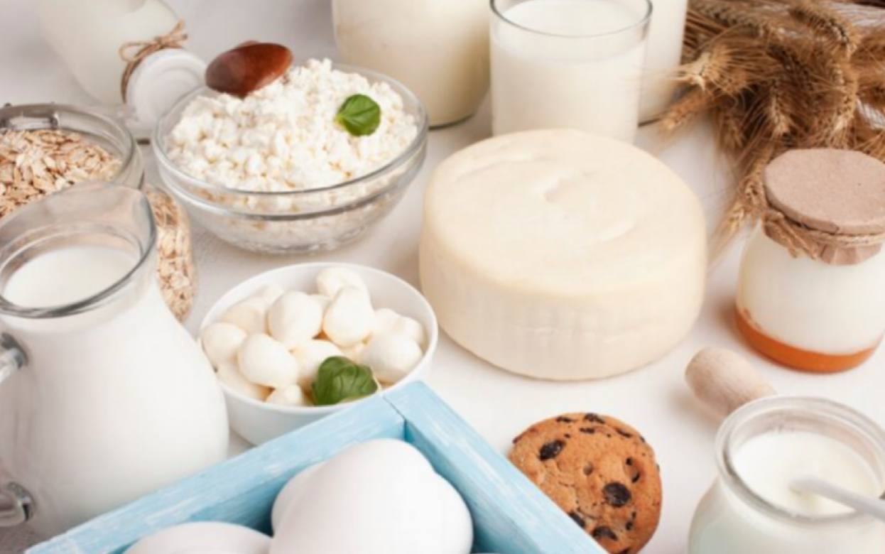 Как продлить свежесть молочных продуктов: правила хранения без потери качества