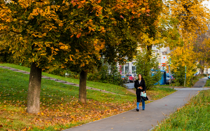 Погода в Ижевске на день: 30 сентября ждем ночные -4°С и +12°С днем