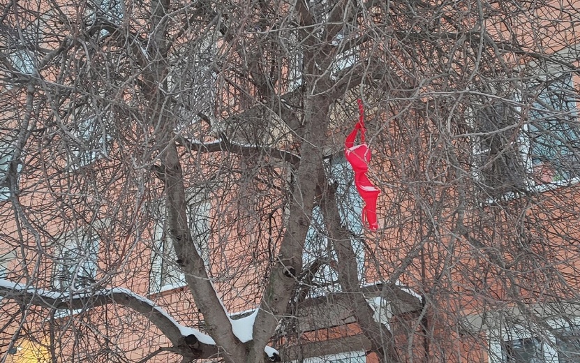 Фотофакт: на Буммаше в Ижевске «распустились» красные лифчики