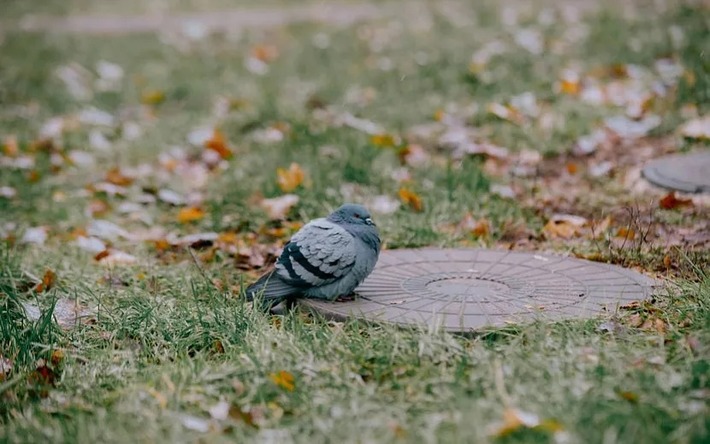 Погода на день в Ижевске: потепление и кратковременные дожди