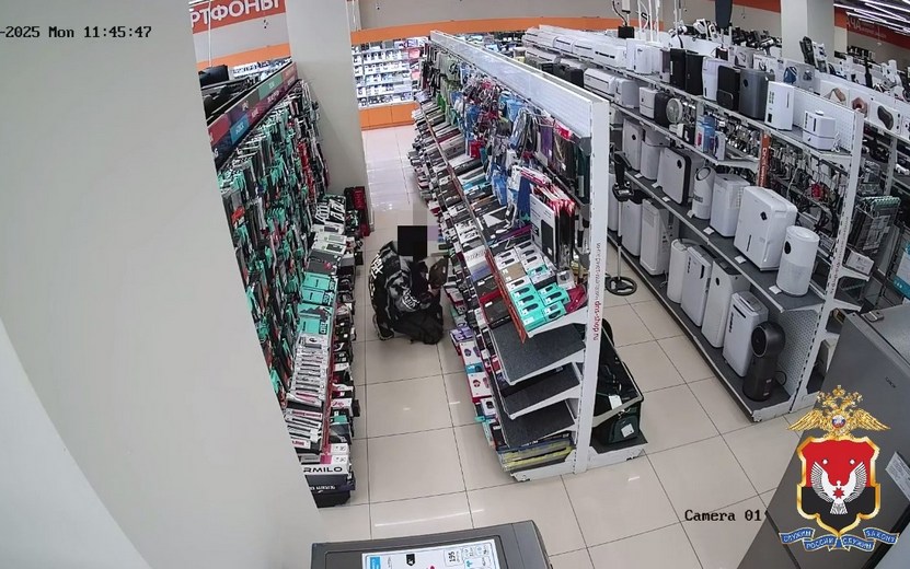 Жителя Воткинска задержали за кражи из магазина цифровой техники