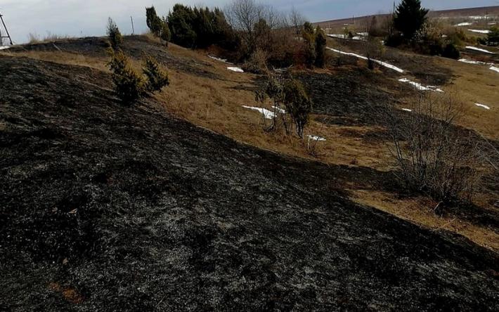 Почти гектар сухой травы сгорел в Удмуртии