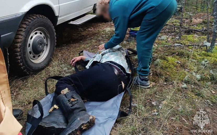Потерявшегося в лесу 75-летнего грибника госпитализировали в Удмуртии