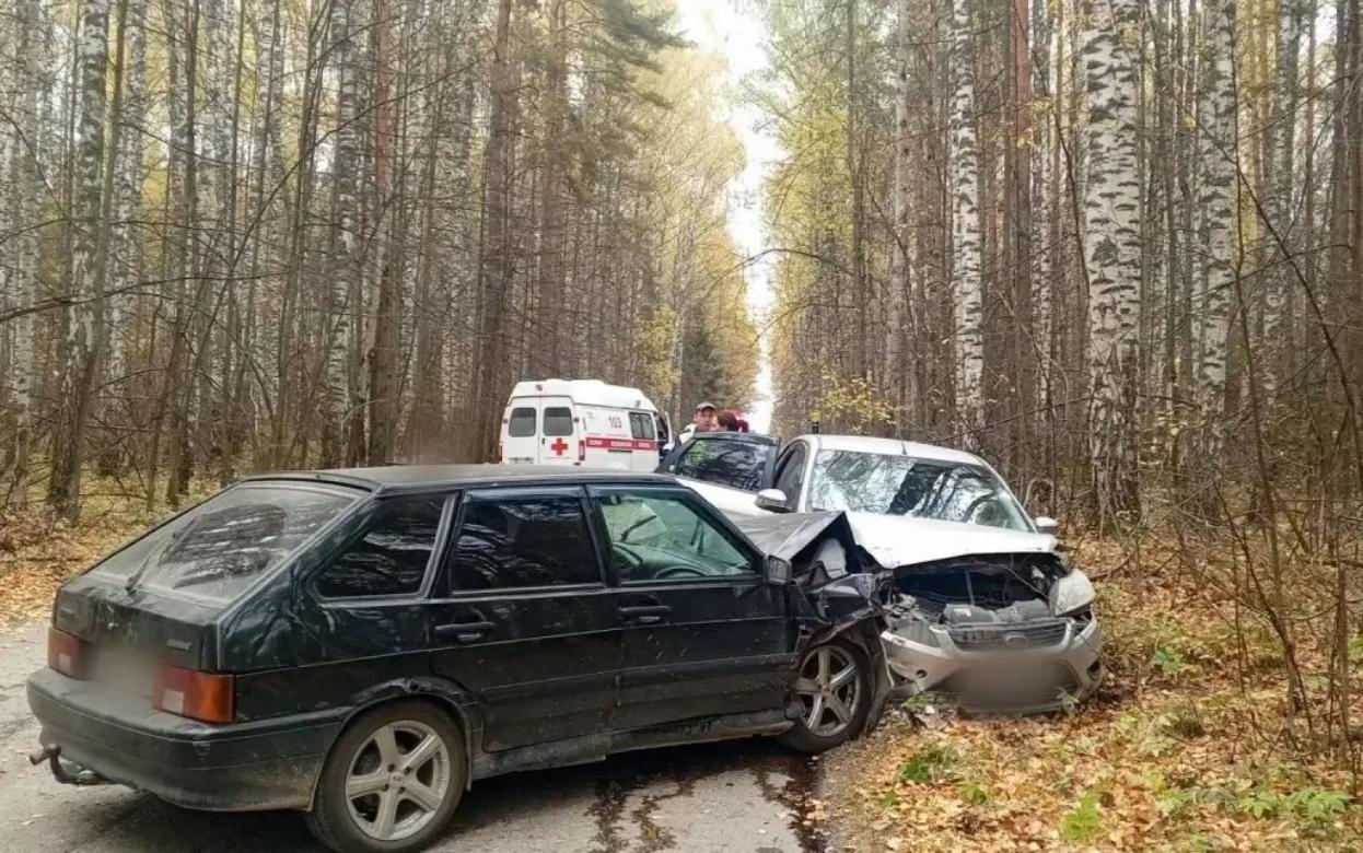 Двое пострадали в ДТП по вине «мертвецки» пьяной женщины в Удмуртии