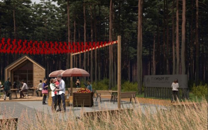 Лес за «Столицей» лидирует в голосовании за благоустройство парков Ижевска