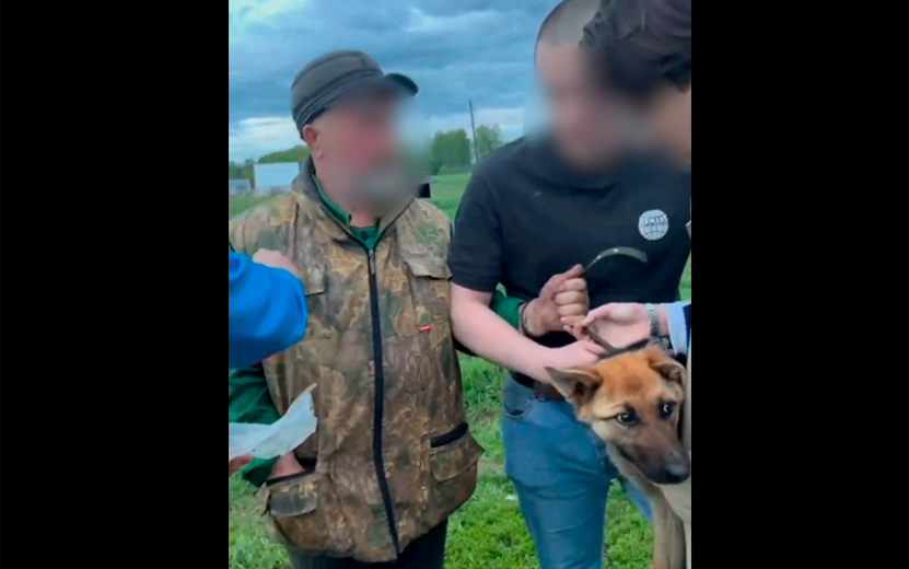 Видео: волонтеры пытались забрать собак и отвезти на лечение