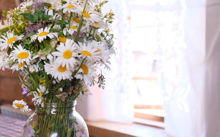 Гороскоп на 11 июня: Овны озаботятся саморазвитием, а Рыбы – жилищным вопросом