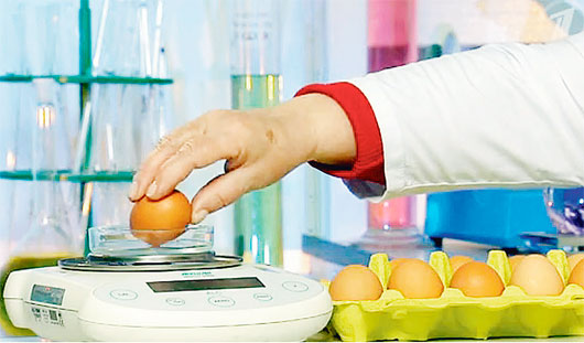 Яйца птицефабрики «Вараксино» вошли в финал «Контрольной закупки»