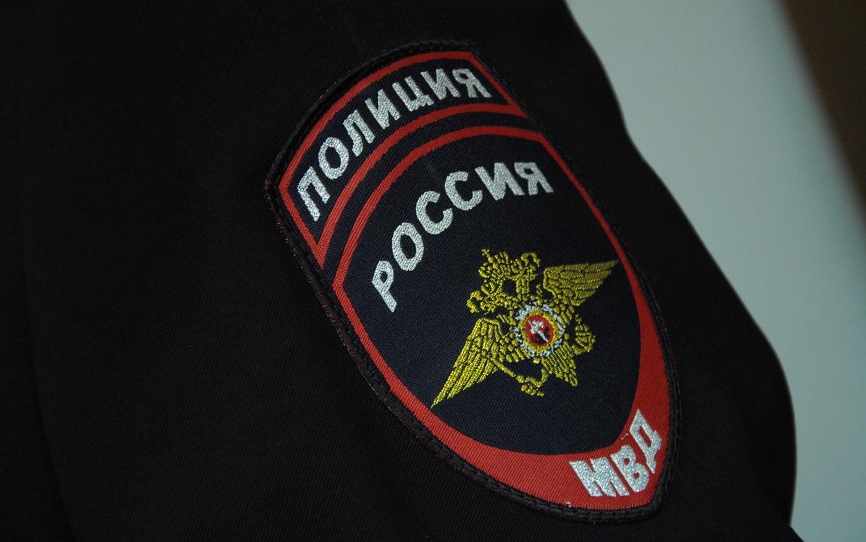 Житель Ижевска сломал палец полицейскому и укусил его коллегу