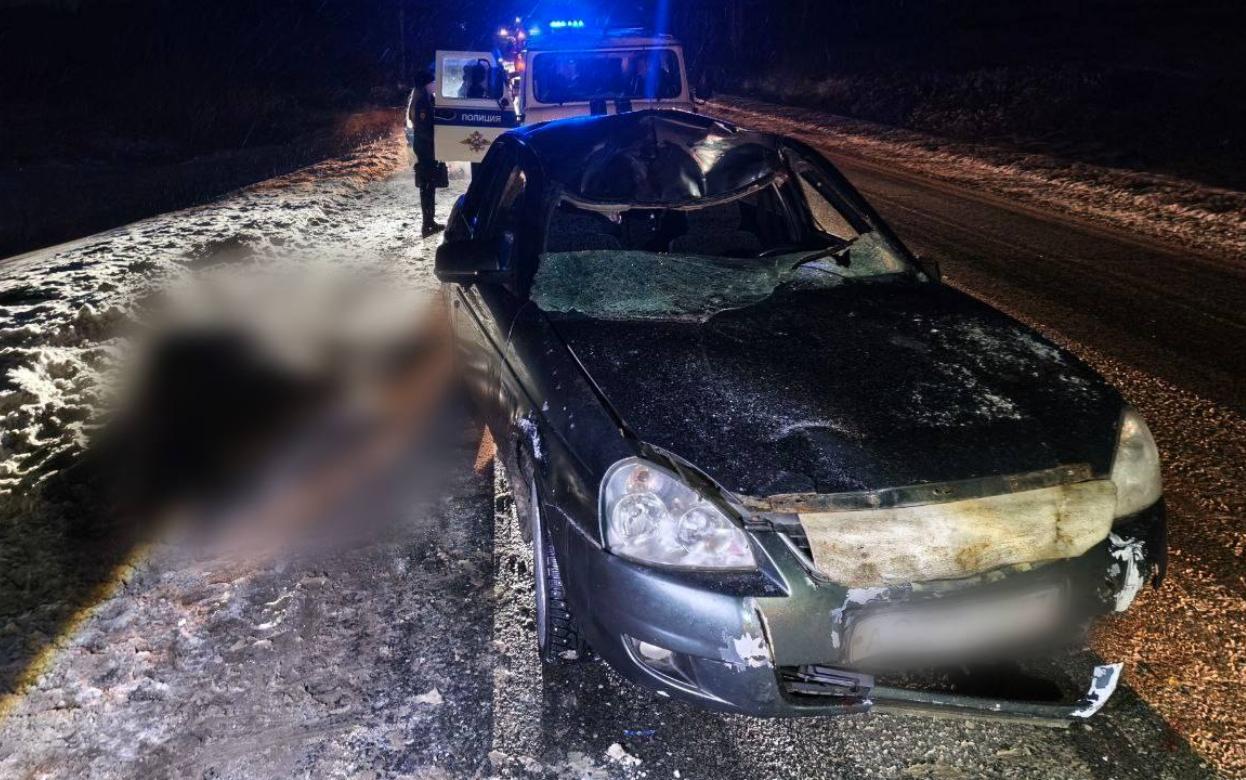 Два человека пострадали в столкновении с лосем в Удмуртии