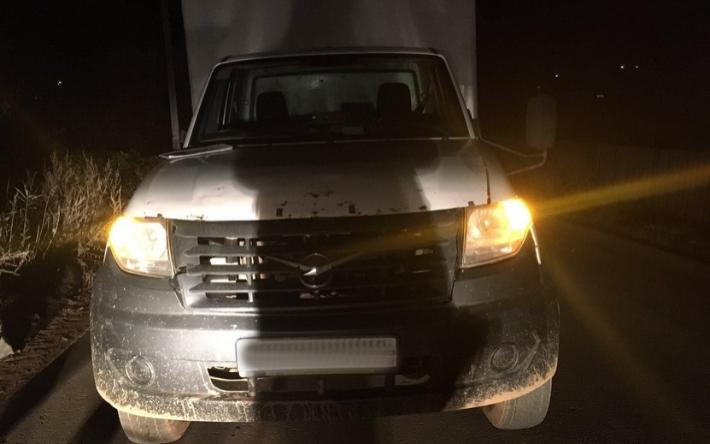 Пьяный водитель грузовика сбил женщину в Удмуртии