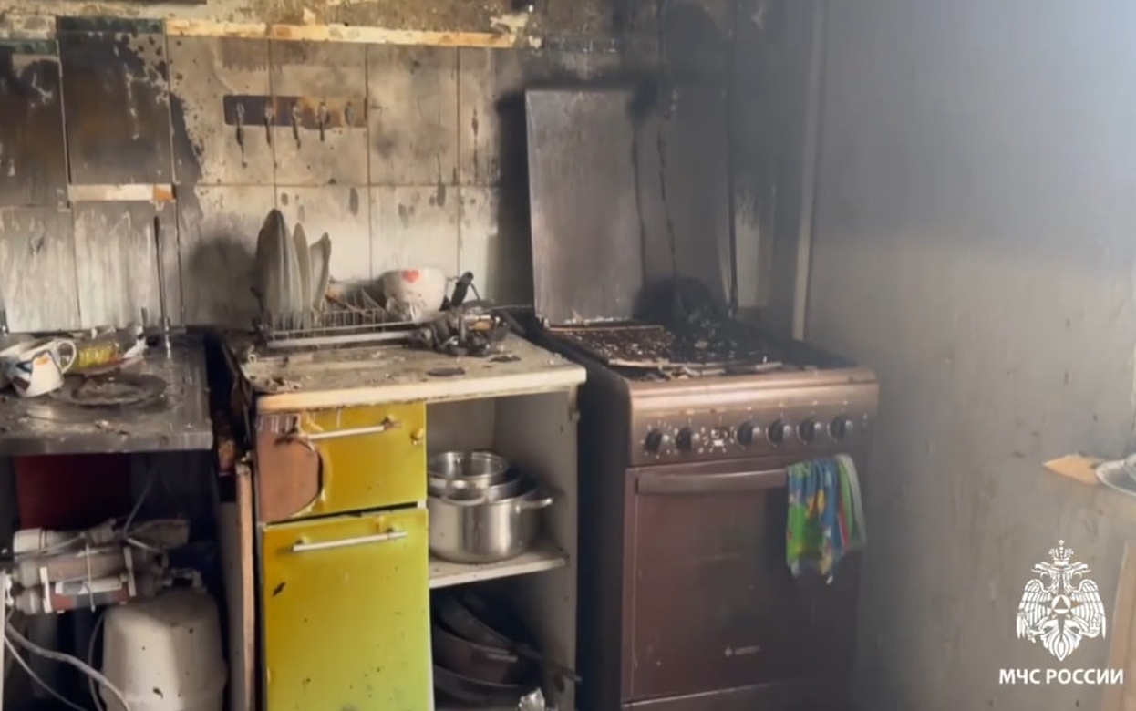 Пожарные спасли двух собак из горящей квартиры в Ижевске