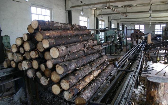 Компания из Удмуртии купила лесопильный завод в Ленинградской области