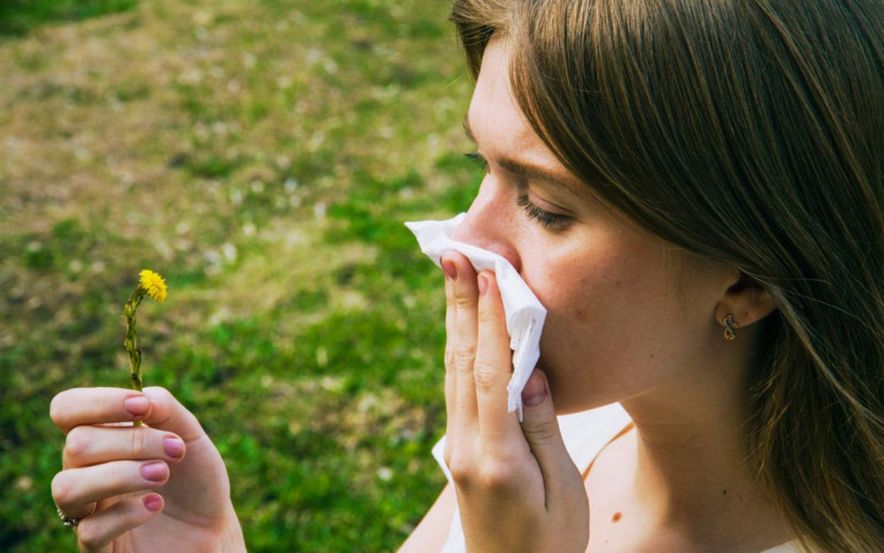 Аллергикам рекомендовали отказаться от орехов в период цветения деревьев