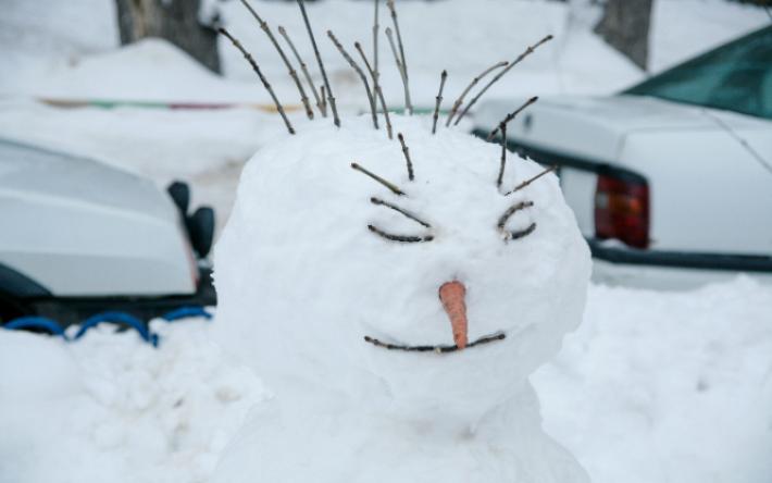 Погода в Ижевске на день: 20 января без осадков и гололедица
