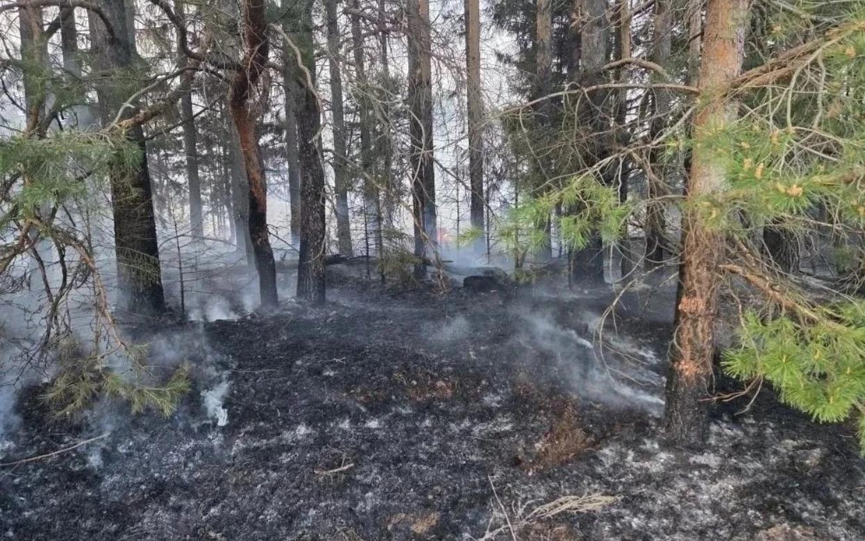Первый лесной пожар потушили в Удмуртии
