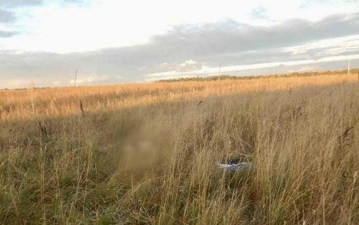24-летнюю девушку нашли мертвой в поле под Ижевском