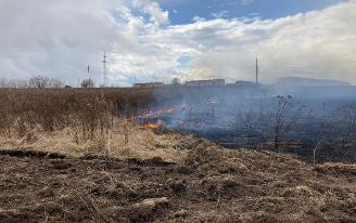 21 ландшафтный пожар потушили за выходные в Удмуртии
