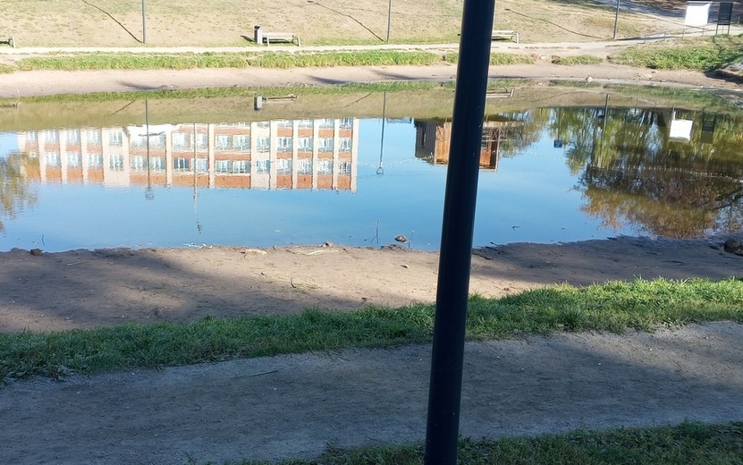 Фотофакт: пруд обмелел в сквере Драгунова в Ижевске
