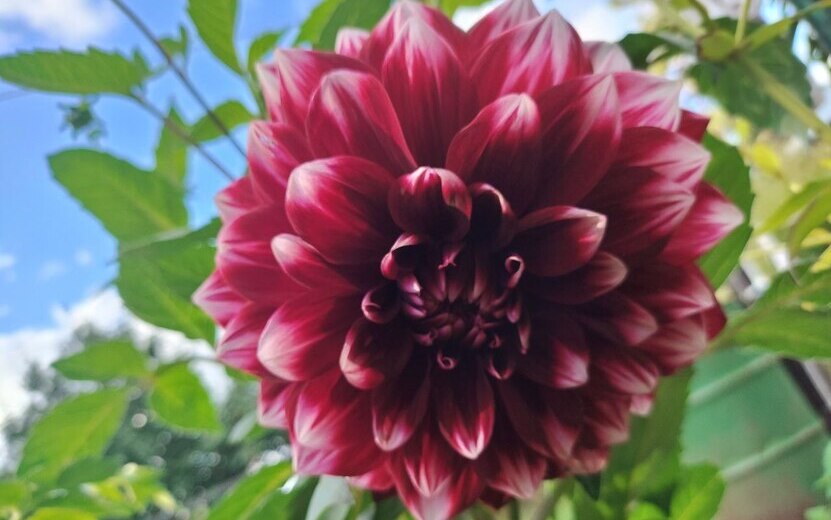 Погода в Ижевске на день: 12 сентября ждем до +15°С и без осадков