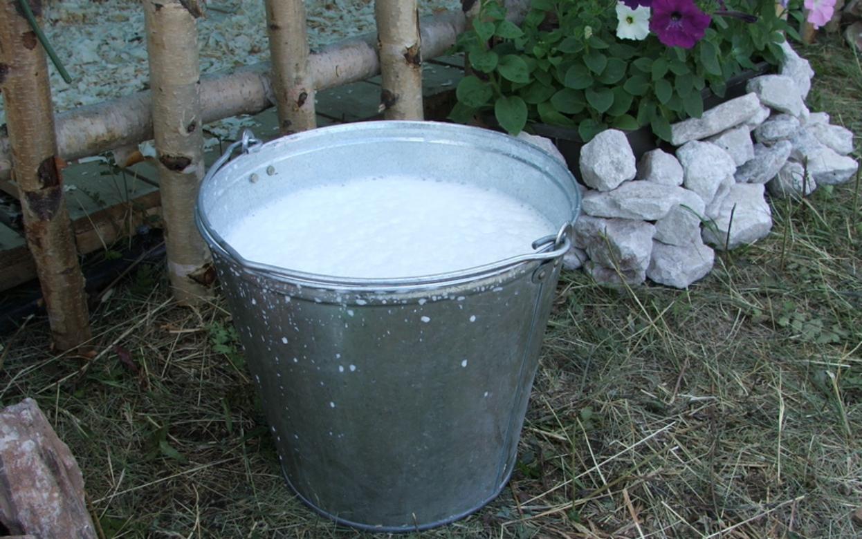 Экспорт молочной продукции из Удмуртии вырос на 26%