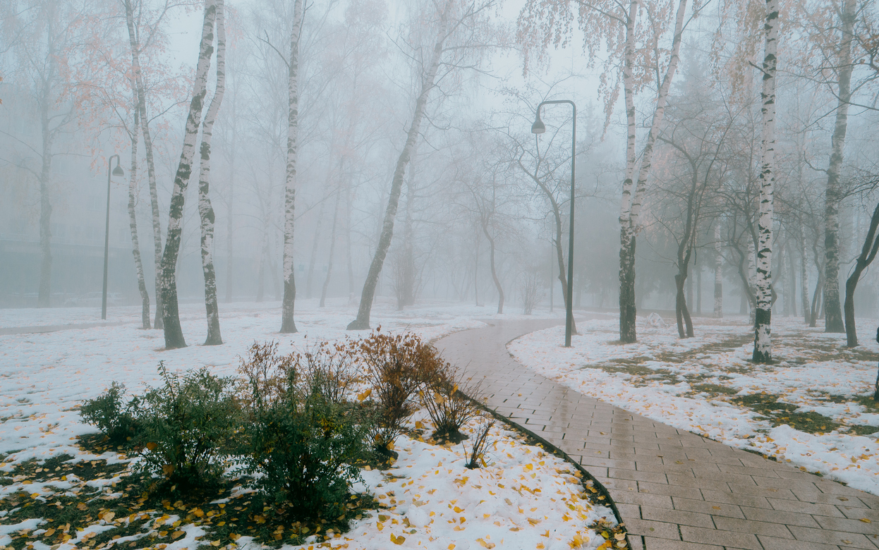 Главные новости Ижевска на утро 24 ноября: победа «Ижстали» и ДТП с погибшей девушкой