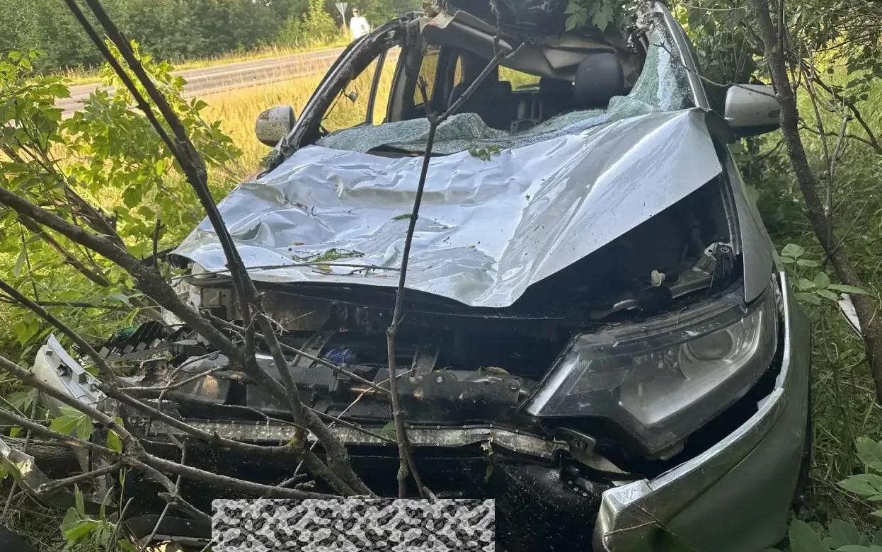 Два человека пострадали в ДТП с лосем под Ижевском