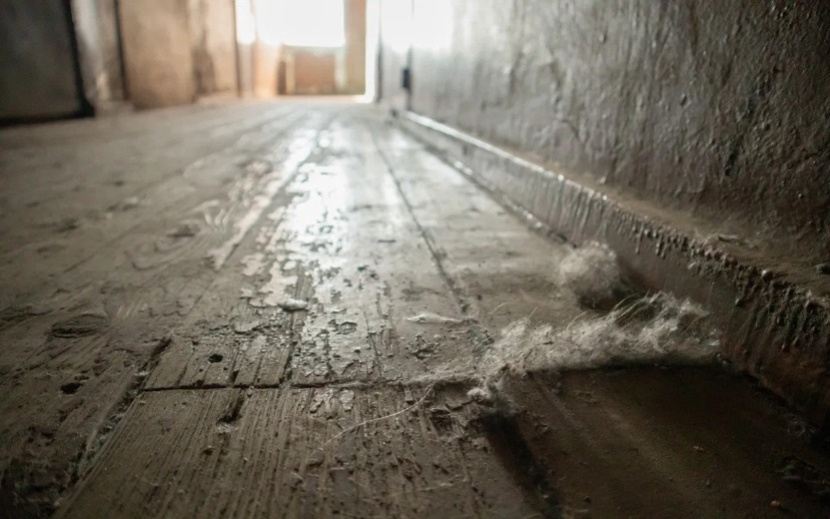 Фото: Данил Иванов 