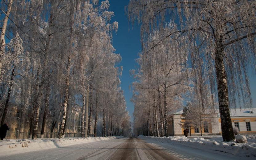 Главные новости Ижевска на утро 27 декабря: судьба 90-й школы и задержание живодеров