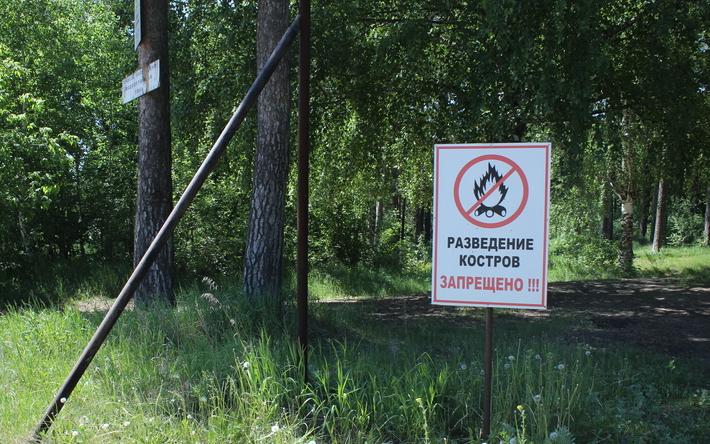Особый противопожарный режим введут в Удмуртии с 10 апреля