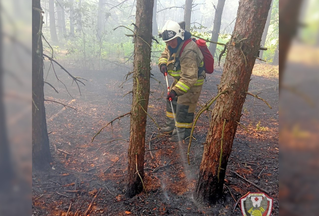Лесной пожар произошел в Каракулинском районе Удмуртии