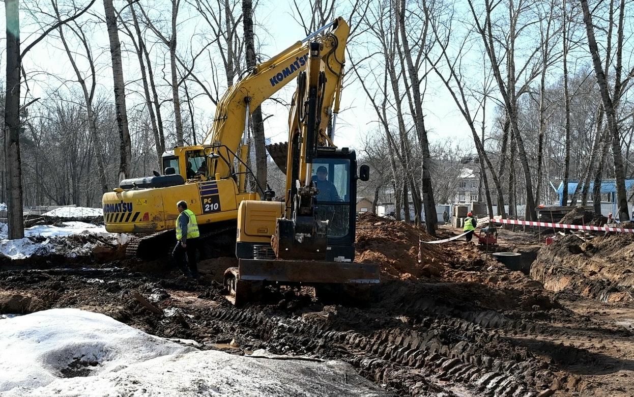 54 дерева вырубили в Березовой роще Ижевска