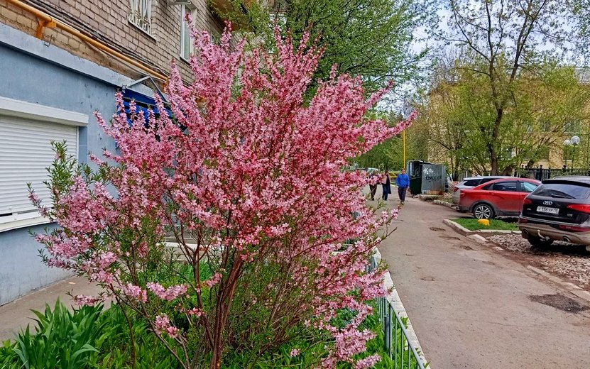 Погода в Ижевске на день: 2 мая резко похолодает до +0°С